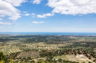 Panoramablick auf die Ebene der Olivenbäume vor Ostuni